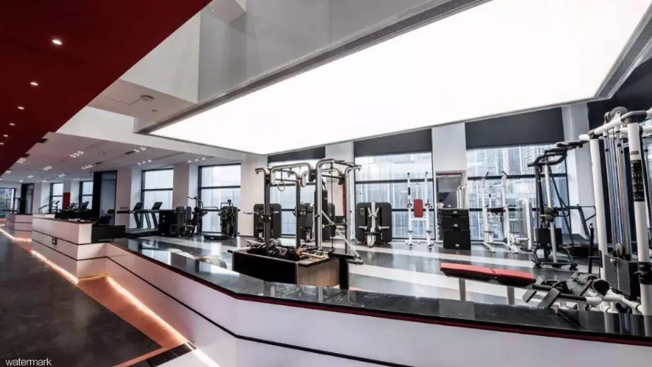 Puertas de velocidad personalizadas y coloridas