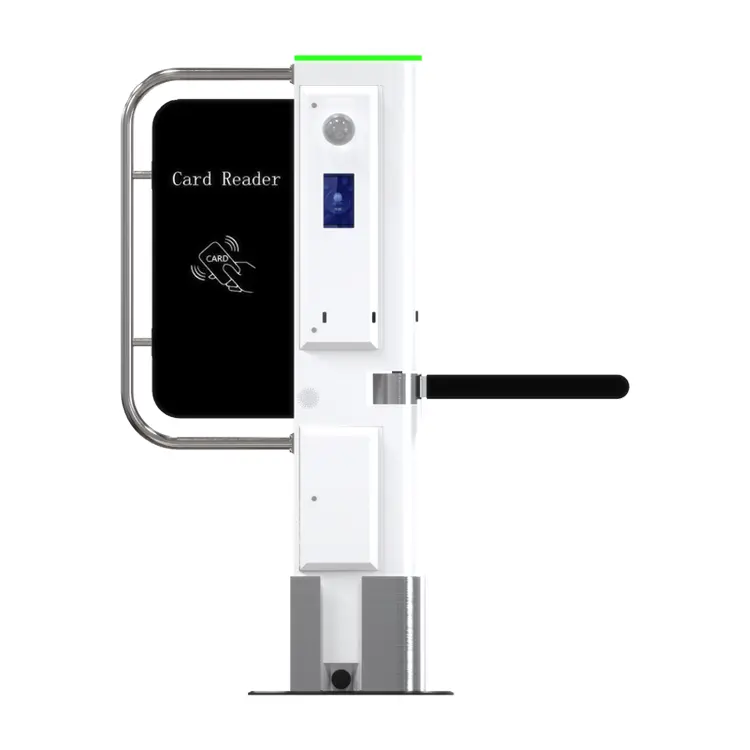 Torniquete de la puerta de nieve